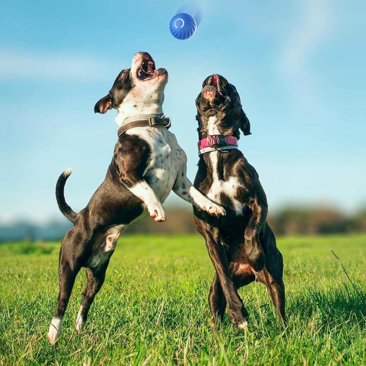 SmartPlay: Pelota para perros y gatos